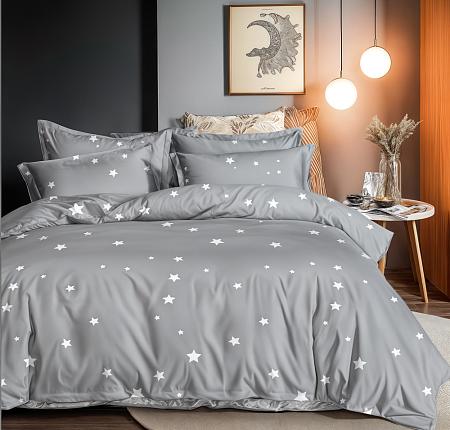 Комплект постельного белья "Силва" Серый